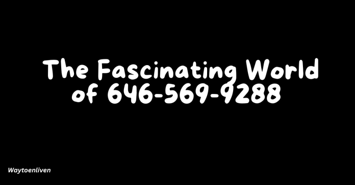 _The Fascinating World of 646-569-9288
