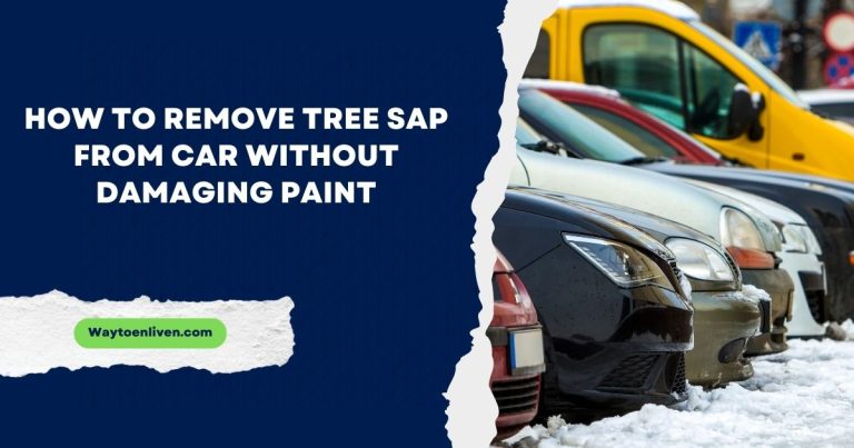 How to Remove Tree Sap from Car Without Damaging Paint?