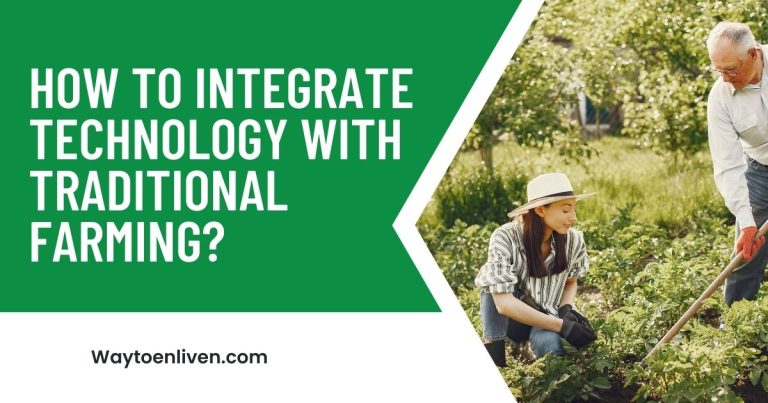 How to Integrate Technology with Traditional Farming?