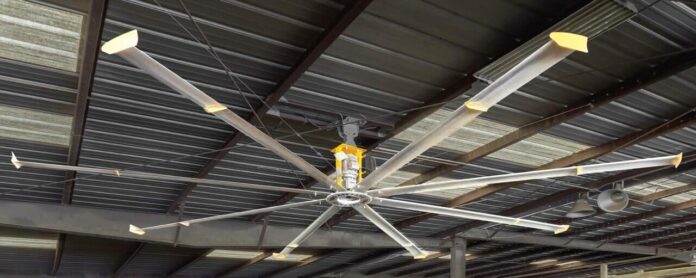 Ceiling Fans