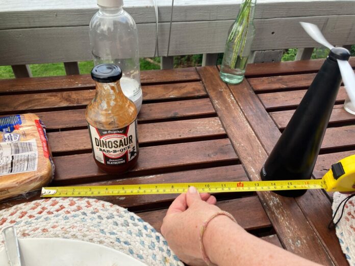 FI-BUG-REPELLING-FANS-measure-1024x768 Fly Fan